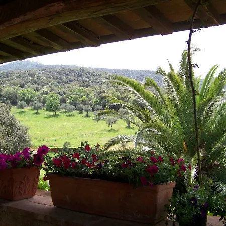 Apartment Podere Il Carpiano